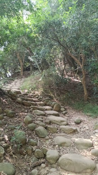 20251018 三義火炎山 南鞍古道 O型2920405