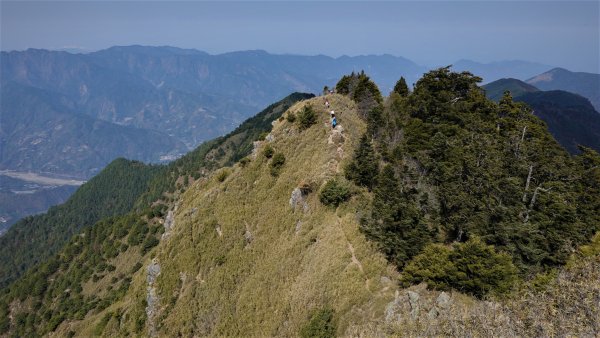 山行漫遊郡大林道上的清水金子郡大三美山 健行筆記