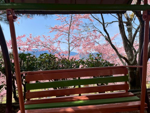 桃園 復興 巴陵 恩愛農場3011865