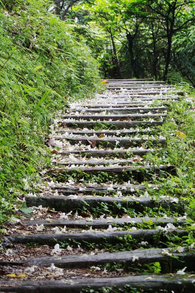 待老坑山。銀河洞535879