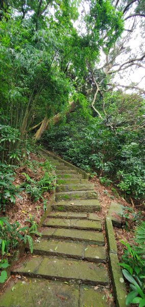 2024-06-15觀音山【福隆山、尖山(占山)登山步道】O走2528213