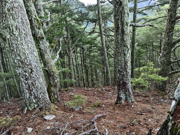 北一段(05/14)南湖南峰 2025_0906~132886493