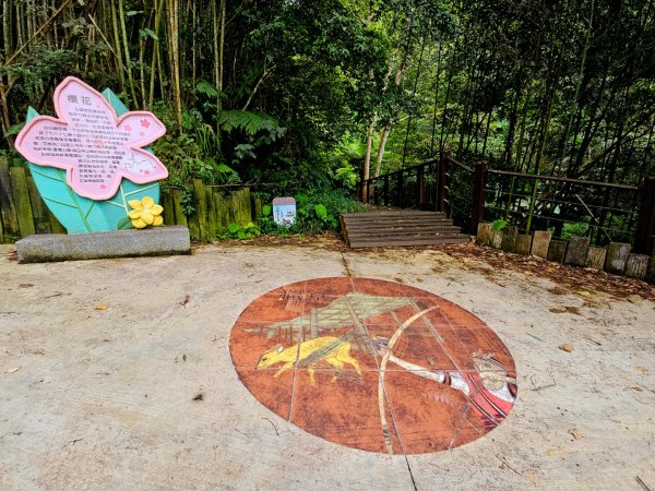 白蘭溪古道-2025森遊竹縣皮皮獅探險隊2895449