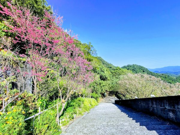 龍年首登的好選擇，鯉躍龍門，搭捷運來內湖爬三尖，鯉魚山、忠勇山、圓覺尖2426621