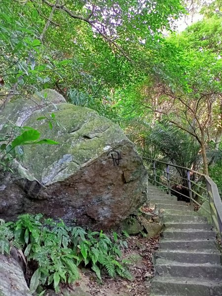 【臺北大縱走 4】山青水明的圓覺寺步道 →鯉魚山小人國步道1425139