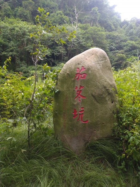 坑內坑森林步道1186619