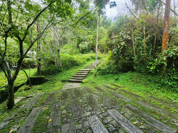 20250719頂湖上大凍山2907150