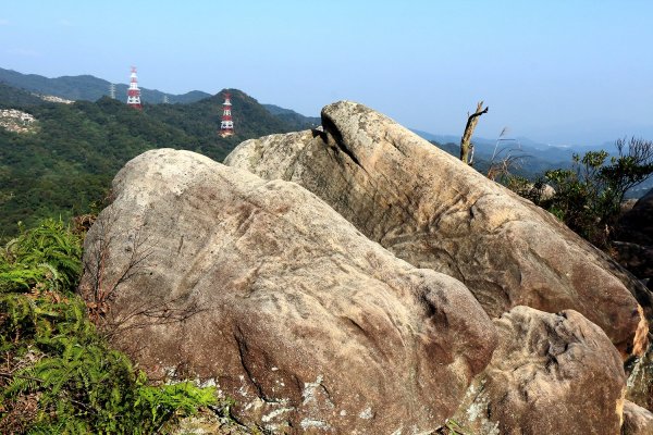 金面山。九蓮寺523753