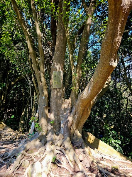 人潮滿滿的觀音山2985980