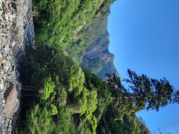 【百岳】雲海的浪漫，羊頭山單攻3045334