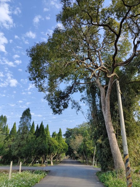 2024.01.07 橫山三叉埤、墩子銃古道2843810