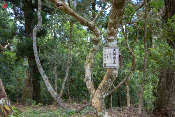 WL 愛旅行【向天湖山】653597