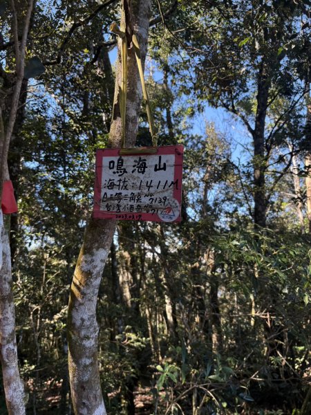20251116鳴海山、網子山登山步道2938451