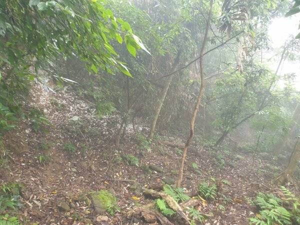 20220430協雲宮起登走新田山步道(新石門山、和興山、沖庫山)+八角崠山1732857