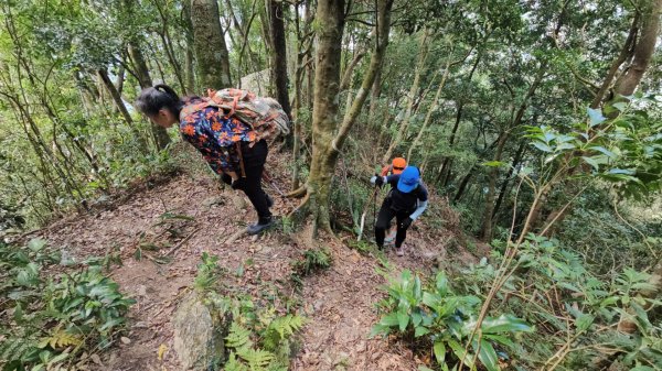 烏桶縱走(烏來山→大桶山)忠治出全紀錄2915221