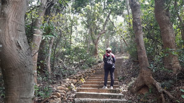 《台中》悠然雅緻｜后里毘盧禪寺小O精華步道202504042752323