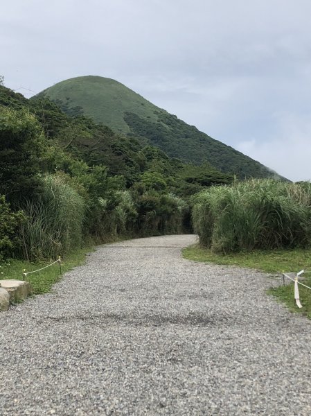 走遍陽明山2206674