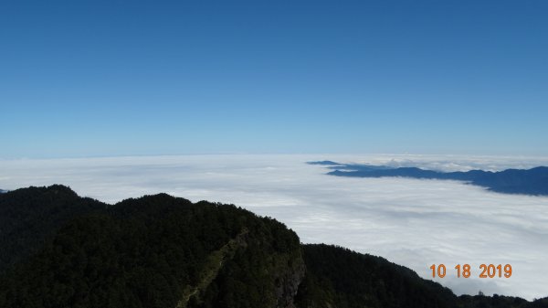 桃山11池有山12705106