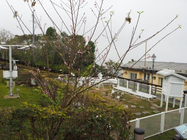 南投魚池貓囒山步道20200216838321