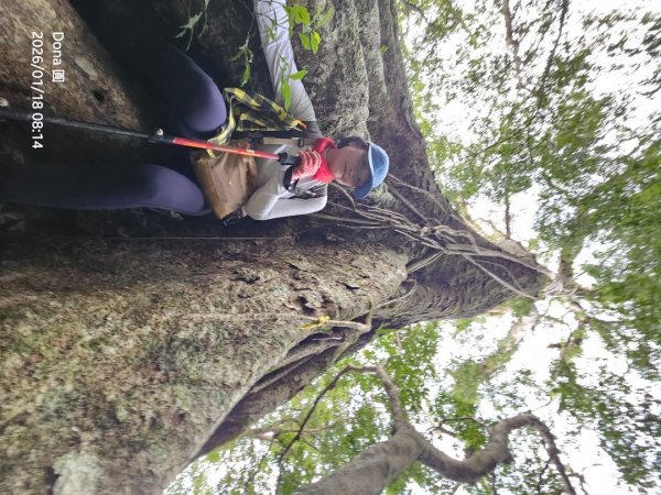 南插天山.魯培山.上宇內山(南插北峰)2989751