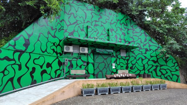 霄裡好風光運動樂悠遊-大湳森林公園2823569