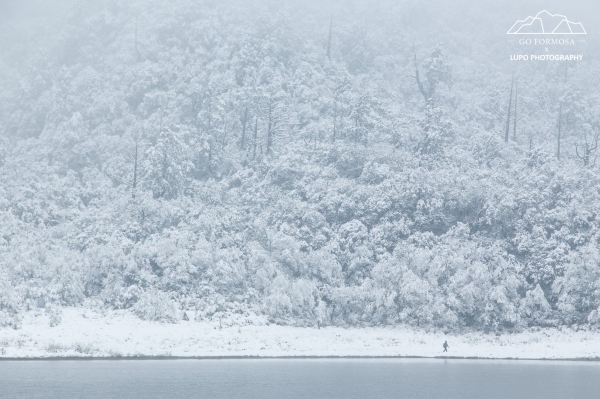 【攝野紀】夢幻般的雪中松蘿湖264533