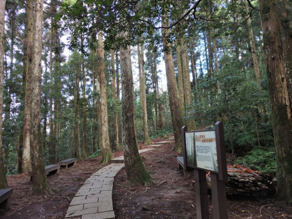 2023.12.27 東眼山2838851