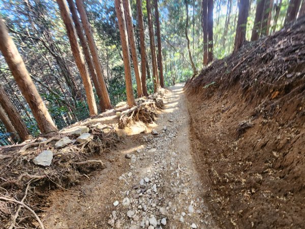 20251127陣馬山至高尾山2959091