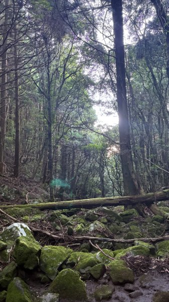 加里山東南峰2867927