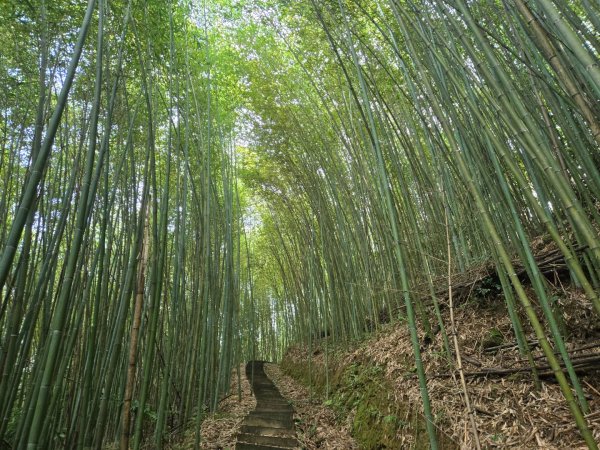 鐘樓古道、獅潭觀魚步道