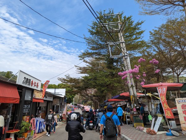 2023-02-04 大坑9、10號步道2792373