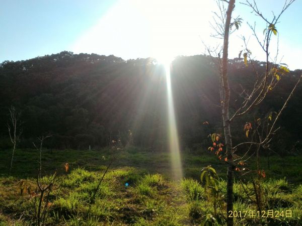 竹坑-南寮步道230361