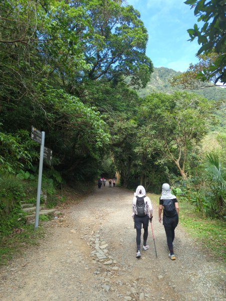 2025.11.29－草嶺古道芒花季2956005