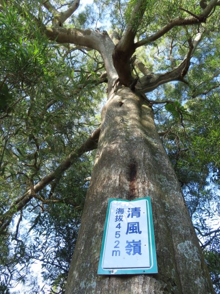 豐原三崁頂健康步道3上2下O形2696150