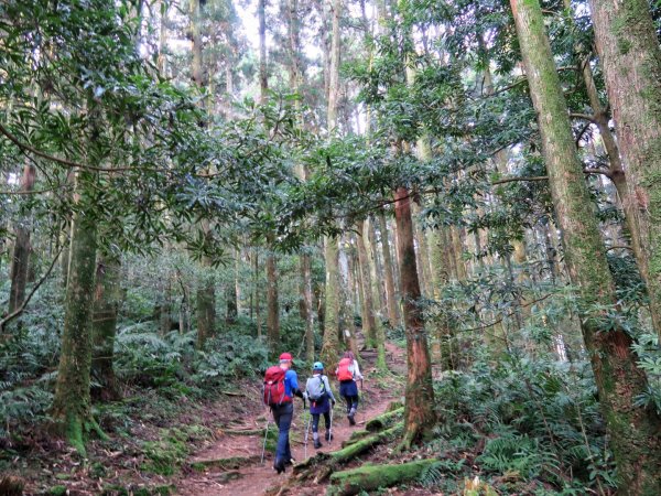 東眼山 拉卡山 卡外山 O形環走1630319