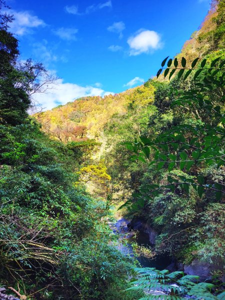 【戀戀楓紅】霞喀羅賞楓行2675609