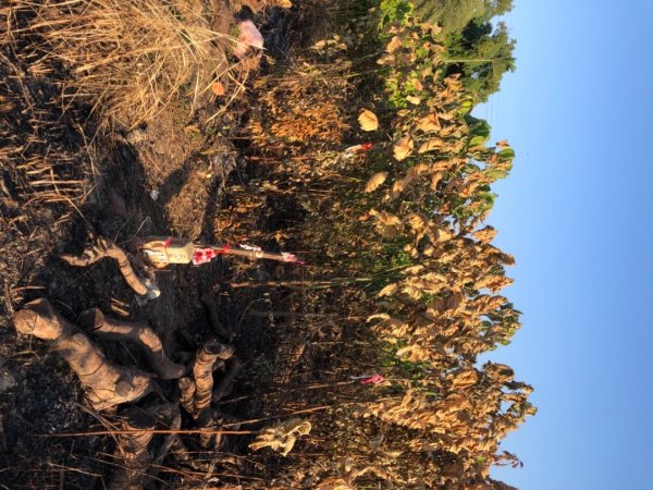 台南市六甲、官田、麻豆、將軍土地調查局圖根點。六甲、番子田、寮子廓、新豹尾（末尋得）、過港子1634814