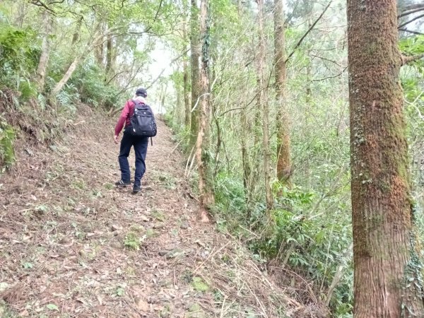 雙溪區石龜福德廟+坪溪古道+梗枋古道+叢雲山+叢雲山北峰+宜1縣縣界O型3019501