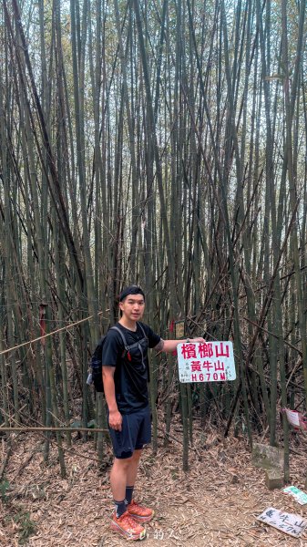 雞九凍縱走3074969