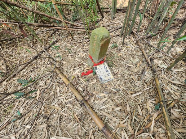 2026022面桶寮山小分林山大分林山3013044