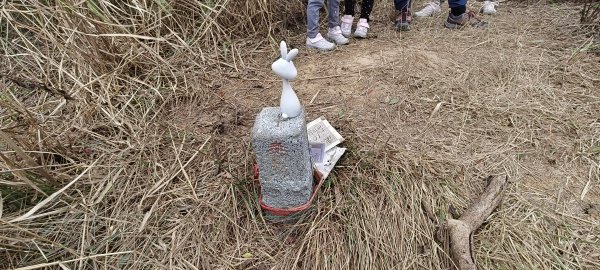 2025/01/04_鹿廚坑健行步道2683476