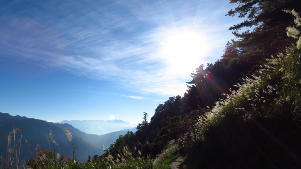 超越自我奇萊南華行24215