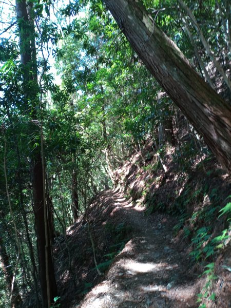 獨行於大霸群峰之間1854395