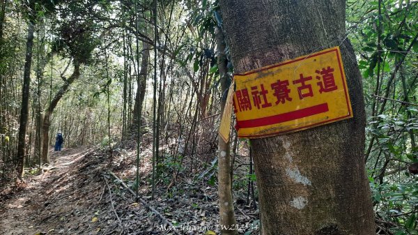 《南投》古道巡禮｜八通關古道社寮線蜈蚣崙段202511152937052