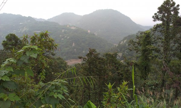 蓬萊仙島_石牛山_油井窩山O型201404301959944