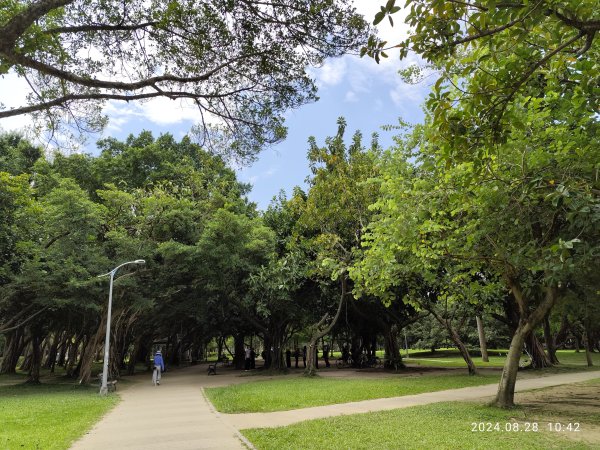 大安森林公園、港墘公園、大港墘公園【走路趣尋寶】【臺北健走趣】2582377