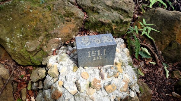 台北丹鳳山軍艦岩唭哩岸山奇岩山順走奇岩埤O型2763224