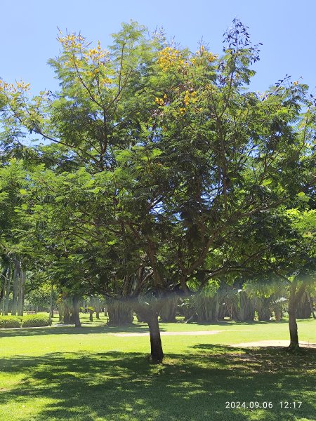 大安森林公園、花博公園圓山園區、基隆 【走路趣尋寶】【臺北健走趣】2589015