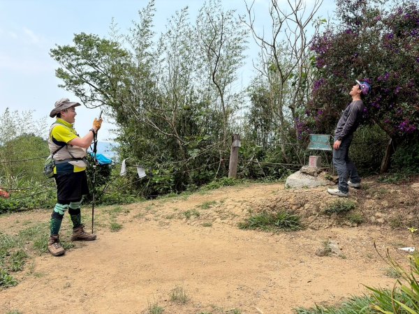 苗栗 三義 關刀山西北峰 關刀山3033651