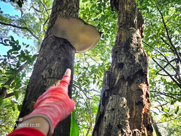 粗坑口尖.碇內尖.龍門山O型2985716